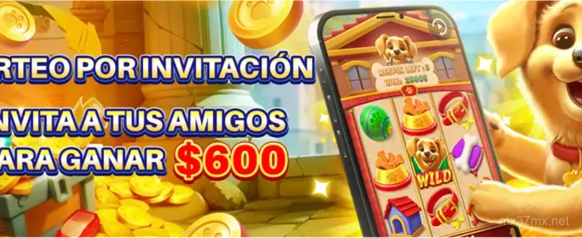 Herramientas de juego seguro en 37mx